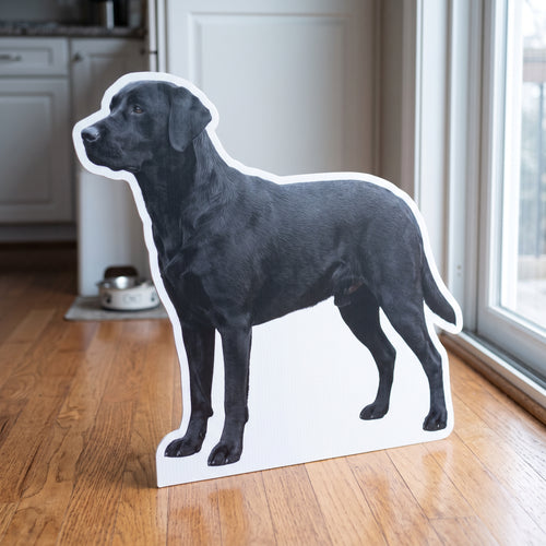 Custom Die-Cut Cutout